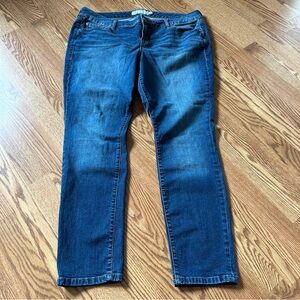TORRID medium dark wash jeans